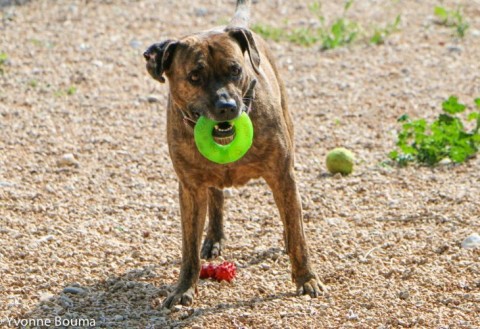 photo of RICKY 46/15