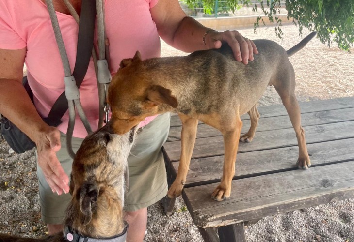 Little Arturo giving loving kisses to Mia at SCAN in Costa Blanca, Spain.