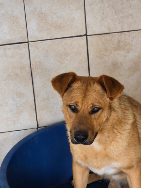 photo of FONSI